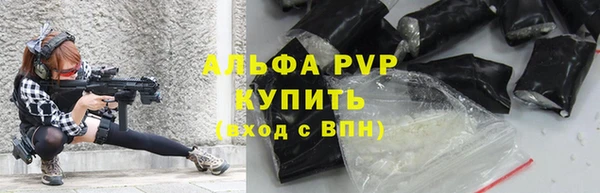 индика Балахна