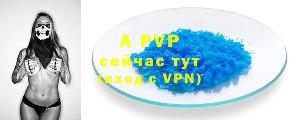 мяу мяу мука Баксан