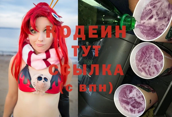индика Балахна
