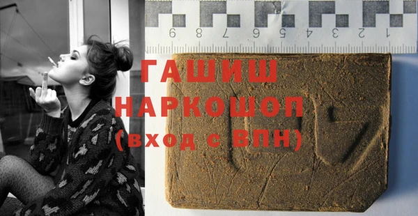 индика Балахна