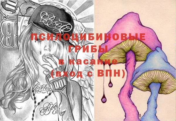 индика Балахна