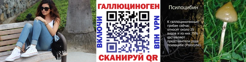 Псилоцибиновые грибы Cubensis  Кольчугино 